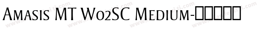 Amasis MT W02SC Medium字体转换